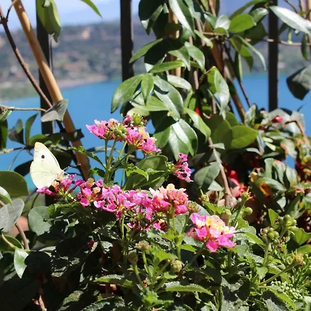 La Casetta Superior Apartment *